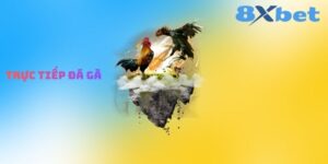 Trực Tiếp Đá Gà